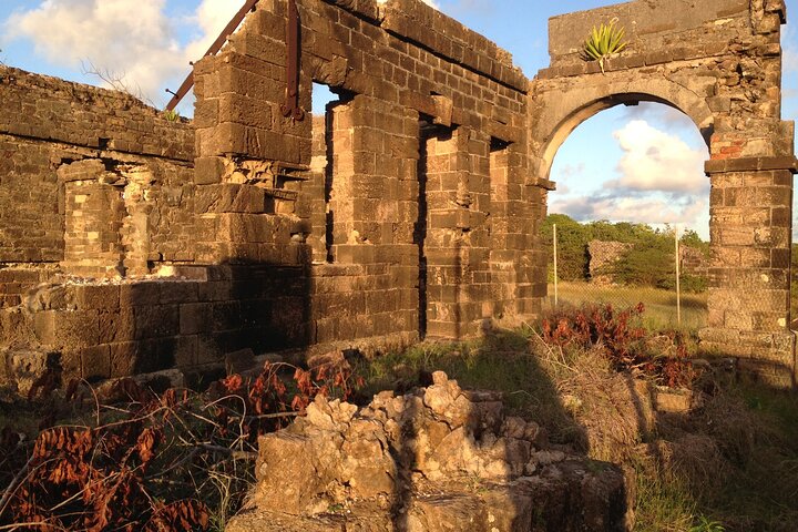 Antigua Round Island Tour