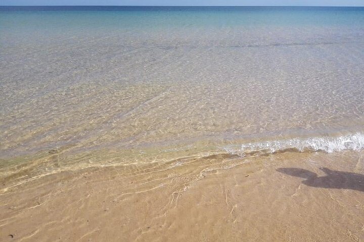 Discover Inhaca Island - one day Tour