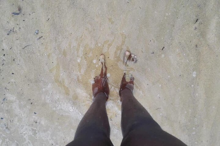 Discover Inhaca Island - one day Tour
