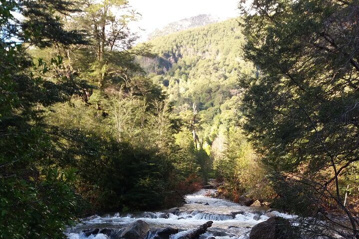 Trekking Huerquehue