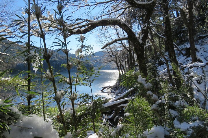 Trekking Huerquehue
