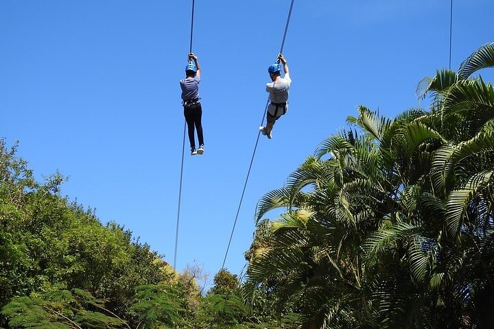 Rainforest Zipline in Foothills of the National Rainforest