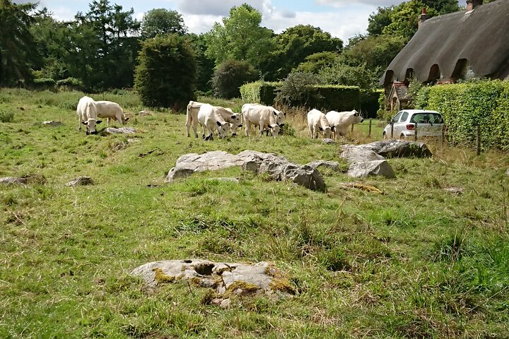 Stonehenge, Avebury, and West Kennet Long Barrow from Salisbury