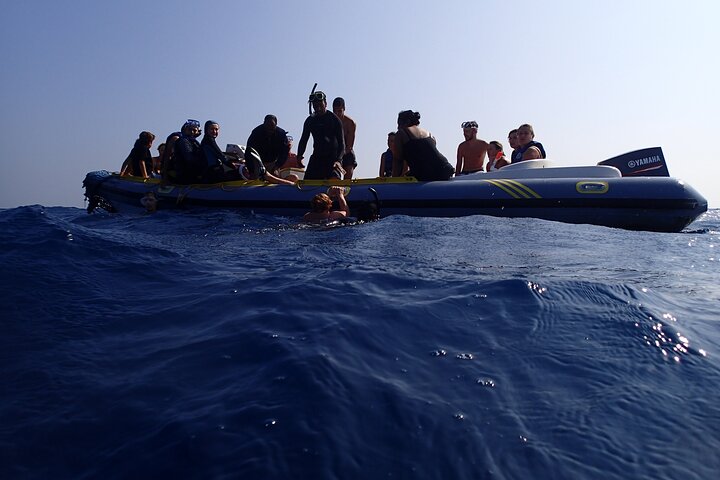 Sataya Dolphin House Snorkel Trip - Marsa Alam