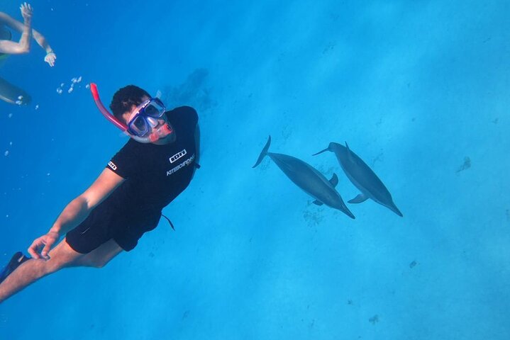 Sataya Dolphin House Snorkel Trip - Marsa Alam