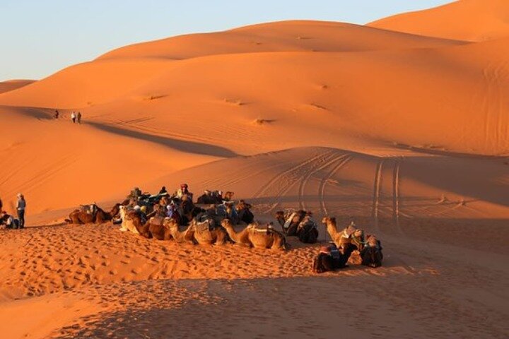 Explore Tangier: Cape Espartel, caves and camel ride.