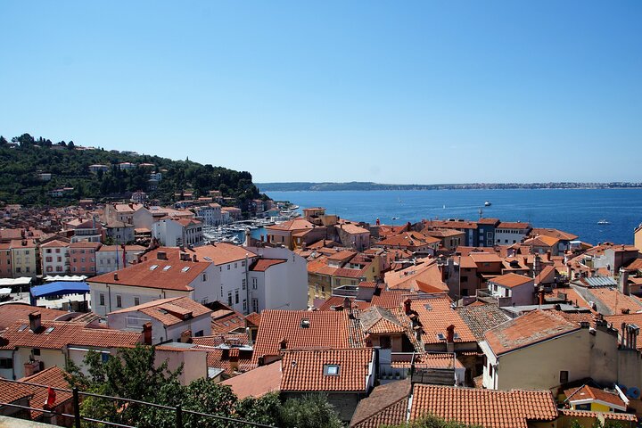 Piran & Panoramic Slovenian Coast from Trieste