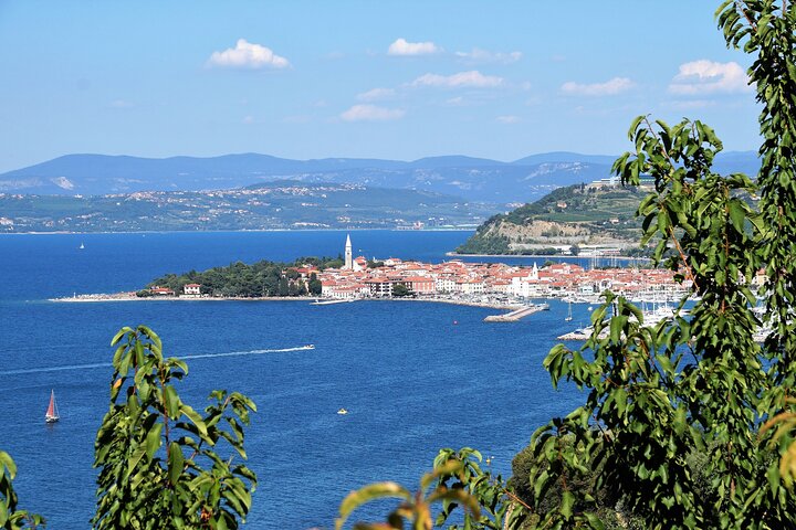 Piran & Panoramic Slovenian Coast from Trieste