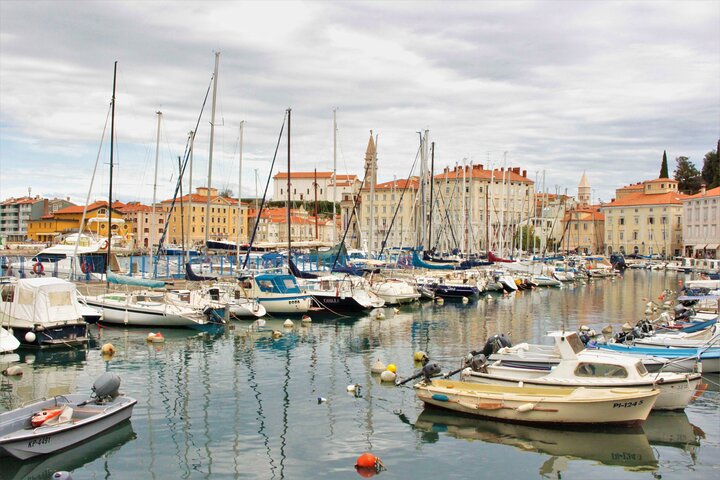 Piran & Panoramic Slovenian Coast - Small Group Tour from Koper