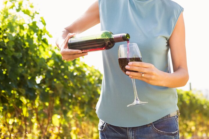 Troodos Mountains Vino Venture: All Inclusive Full Day Wine Tour