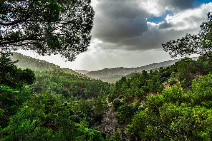 Private Full-Day Tour to Cyprus Monasteries