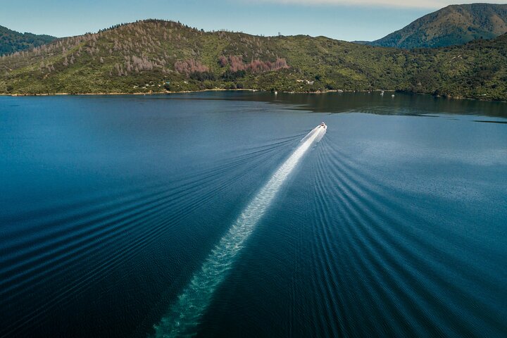 3.5 Hour Marlborough Sounds Delivery Cruise