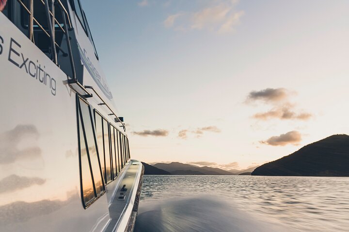 3.5 Hour Marlborough Sounds Delivery Cruise