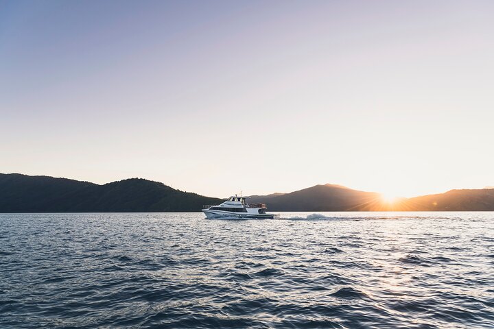 3.5 Hour Marlborough Sounds Delivery Cruise
