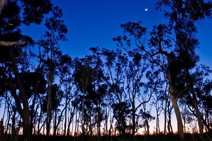 Small Group Kangaroo Island Evening and Night Tour