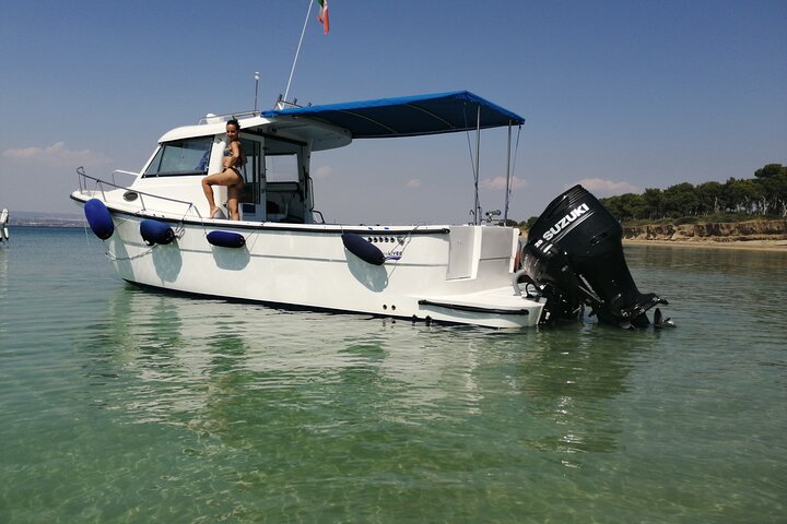 Boat tour, boat party, Dolphin watching, Fishing.