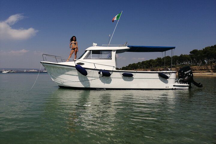 Boat tour, boat party, Dolphin watching, Fishing.