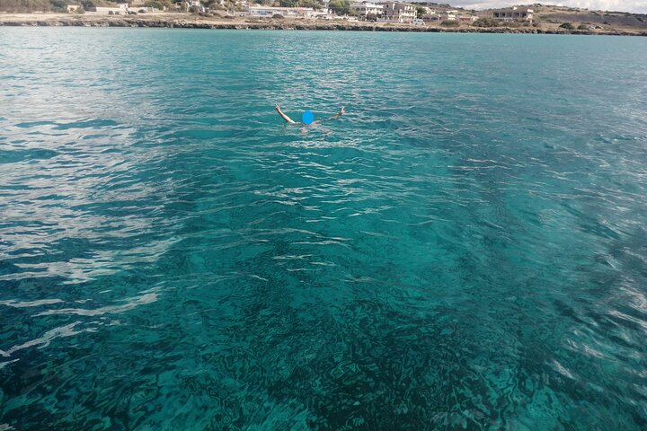Boat tour, boat party, Dolphin watching, Fishing.