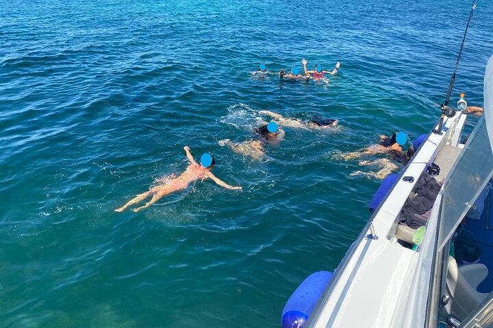 Boat tour, boat party, Dolphin watching, Fishing.
