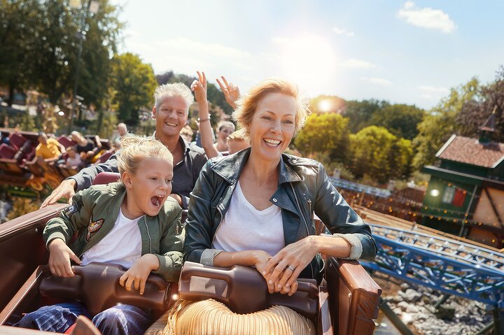 Efteling Theme Park Entrance Ticket