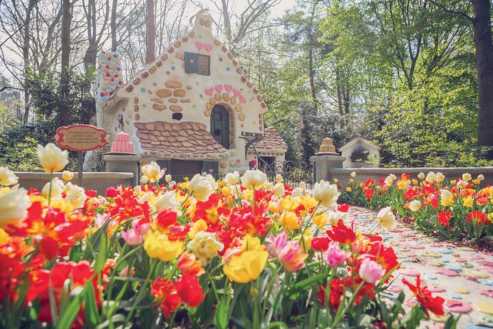 Efteling Theme Park Entrance Ticket