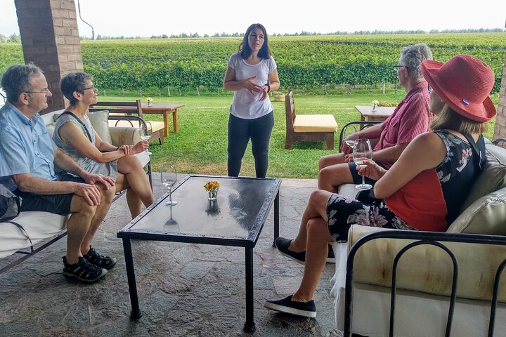 Uco Valley Wineries Day with Private Driver