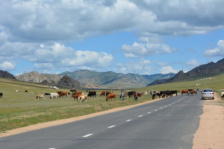 Private Day Tour: Terelj National Park + Genghis Khan's Statue ..