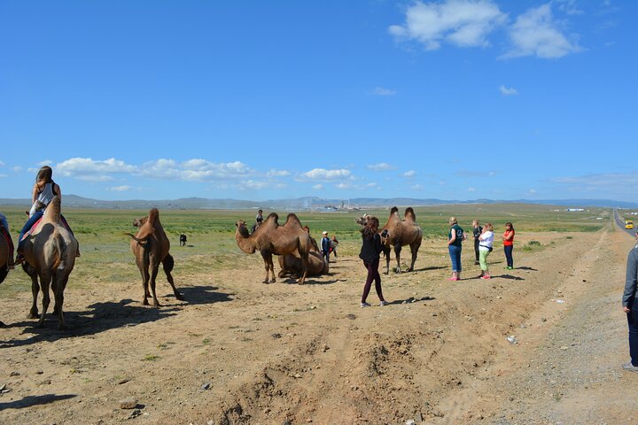 Private Day Tour: Terelj National Park + Genghis Khan's Statue ..