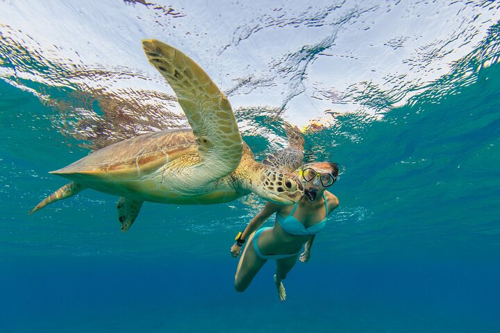 50' Luxury Yacht. Private Full or Half Day Catamaran Snorkel, & Beach Experience