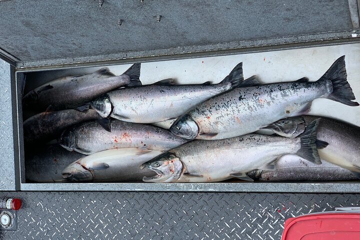 Full day Alaska Salmon Fishing on the Kenai Peninsula