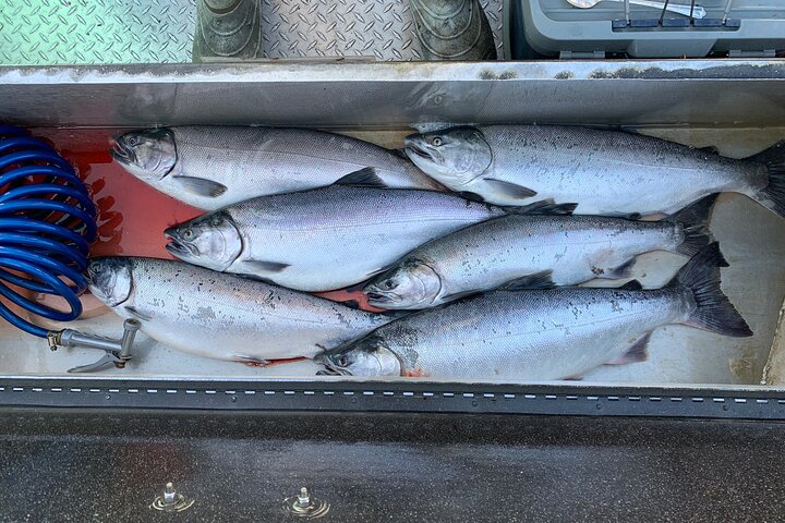 Full day Alaska Salmon Fishing on the Kenai Peninsula
