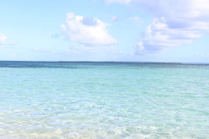Small Day Cruise (Ilet caret, mangrove, coral reef