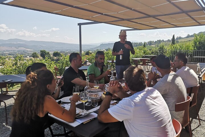 Unique EnoBike experience with tasting in 2 excellent wineries