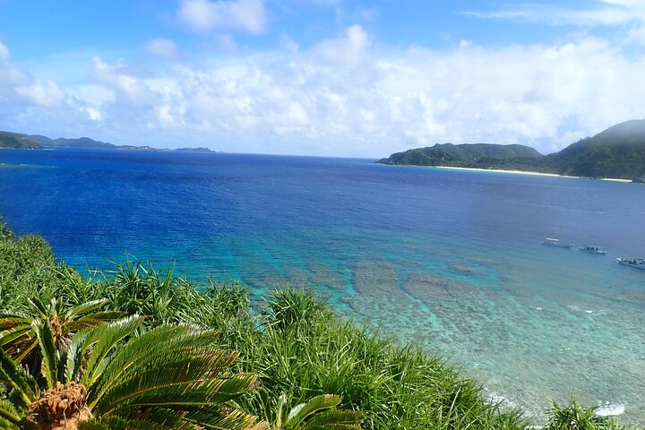 1day kayak tour in Kerama Islands and Zamami Island