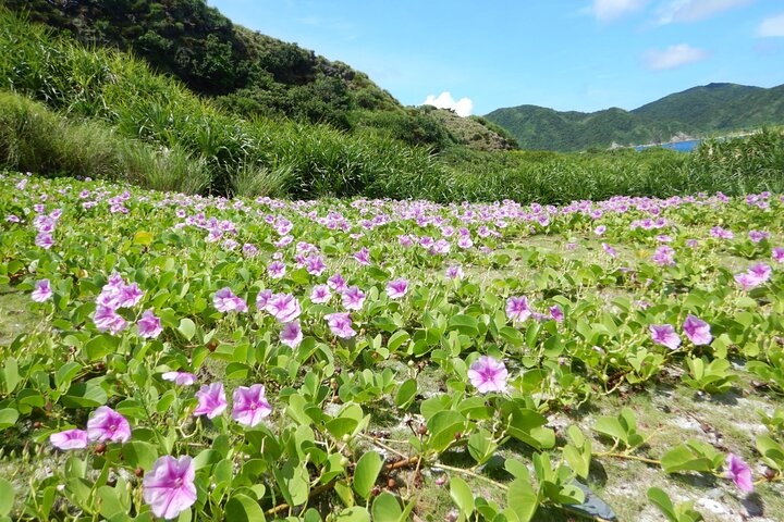 1day kayak tour in Kerama Islands and Zamami Island