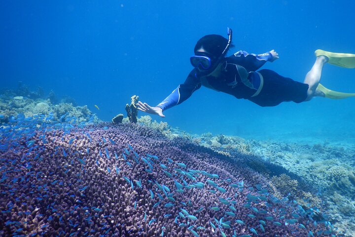 1day kayak tour in Kerama Islands and Zamami Island