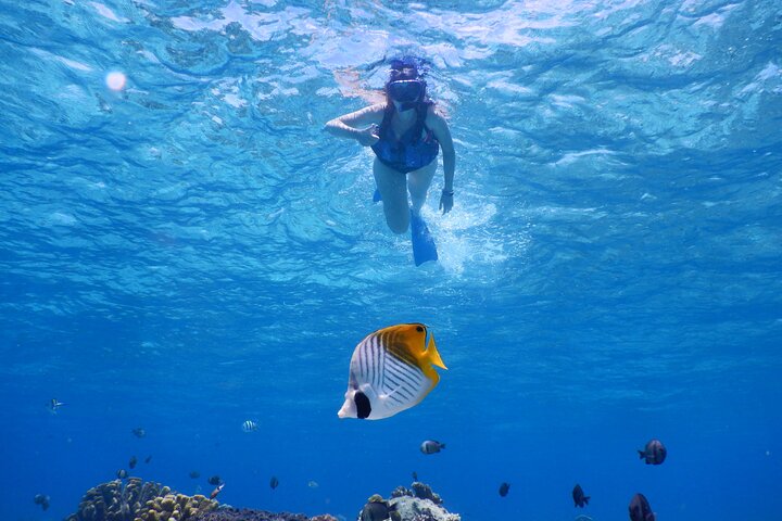 1day kayak tour in Kerama Islands and Zamami Island