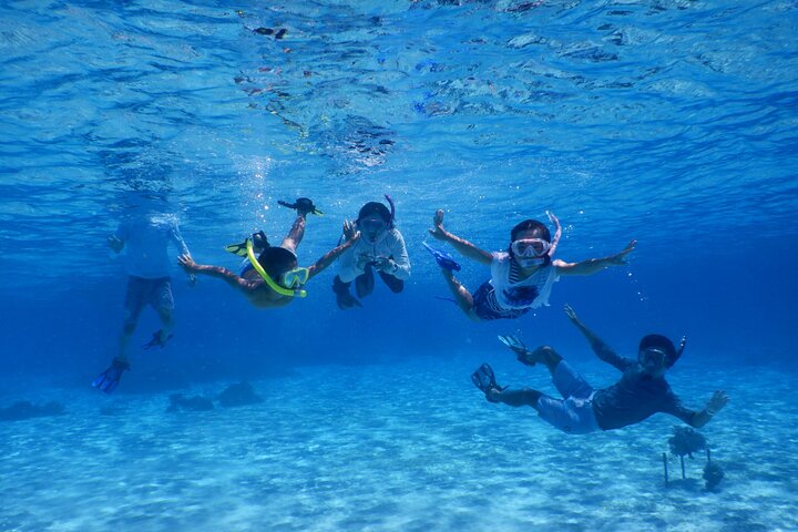 1day kayak tour in Kerama Islands and Zamami Island