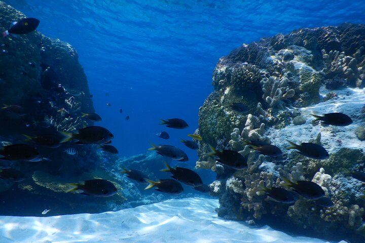 1day kayak tour in Kerama Islands and Zamami Island