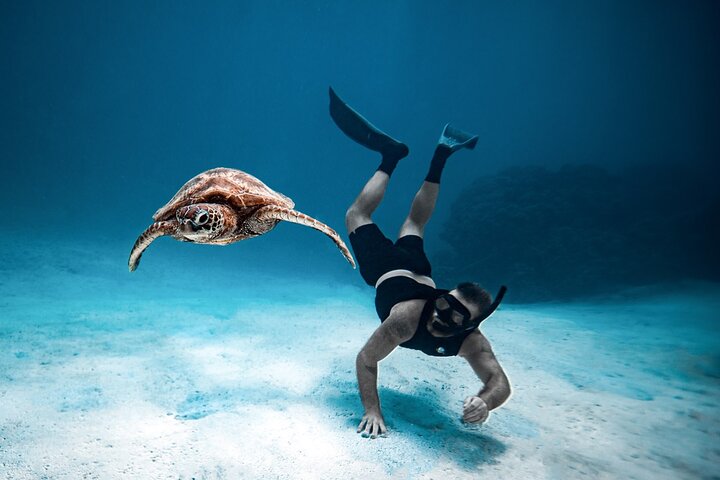 Private Turtle and Ray Tour Rarotonga