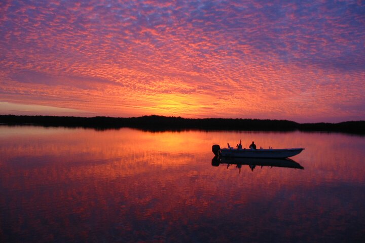 Everglades Small Group Guided Boating and Walking Expedition