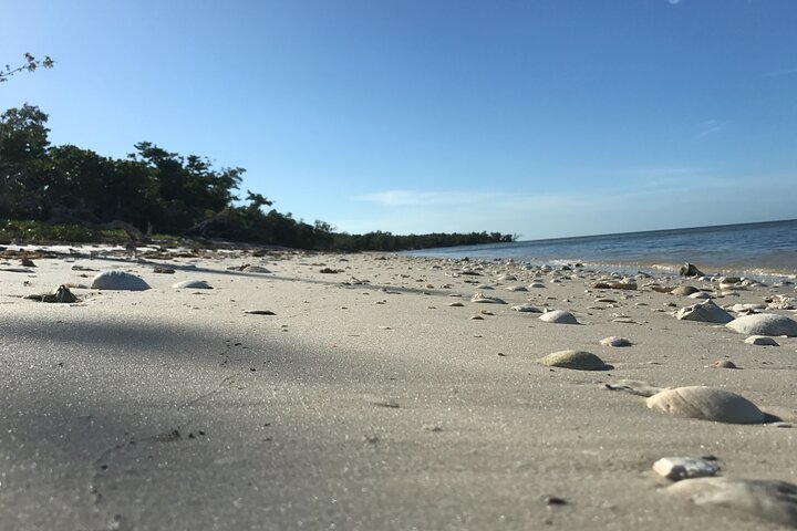 Everglades Small Group Guided Boating and Walking Expedition