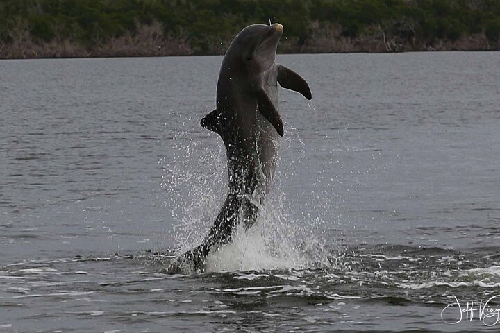 Everglades Small Group Guided Boating and Walking Expedition