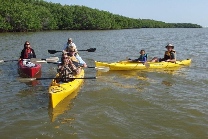 Small-Group Everglades Boating Kayaking and Walking Eco Tour