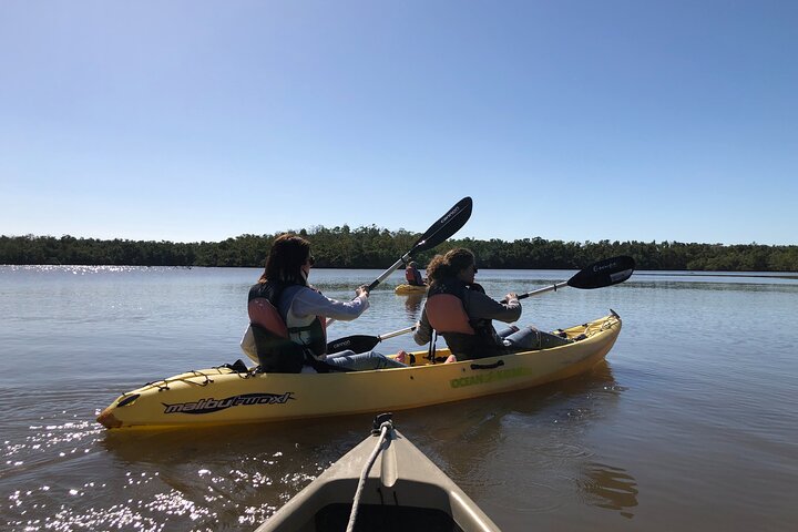 Small-Group Everglades Boating Kayaking and Walking Eco Tour