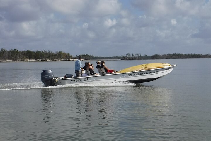 Small-Group Everglades Boating Kayaking and Walking Eco Tour