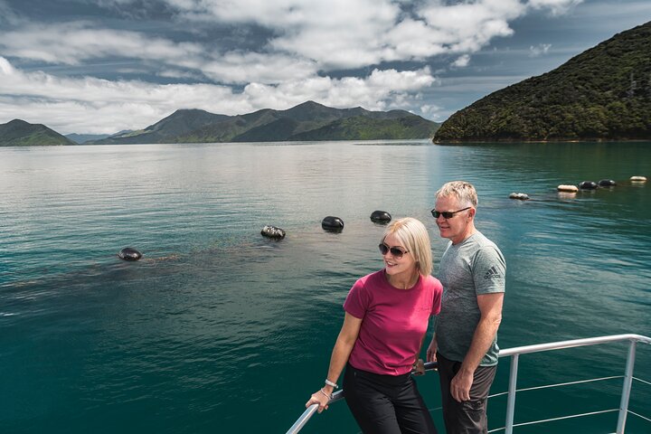Full Day Iconic Mail Boat Cruise