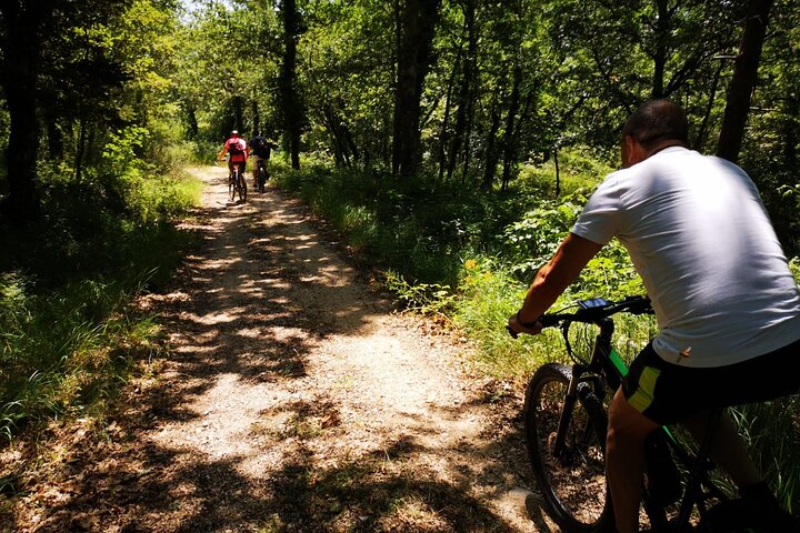 Unique EnoBike experience with tasting in 2 excellent wineries
