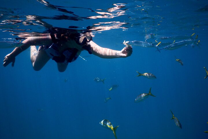 Full-Day Snorkeling Tour to Culebra Island with Lunch