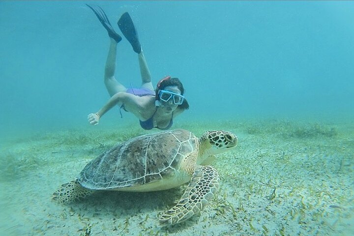Full-Day Snorkeling Tour to Culebra Island with Lunch